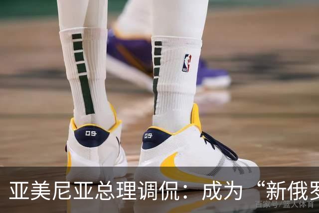 亚美尼亚总理调侃：成为“新俄罗斯”也不想！