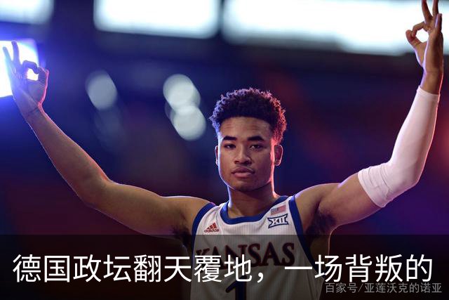 德国政坛翻天覆地，一场背叛的“意外惊喜